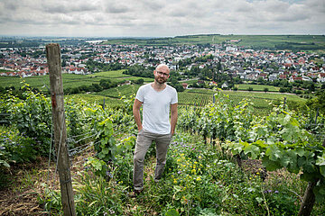 Image-17819