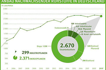 Anbaufläche