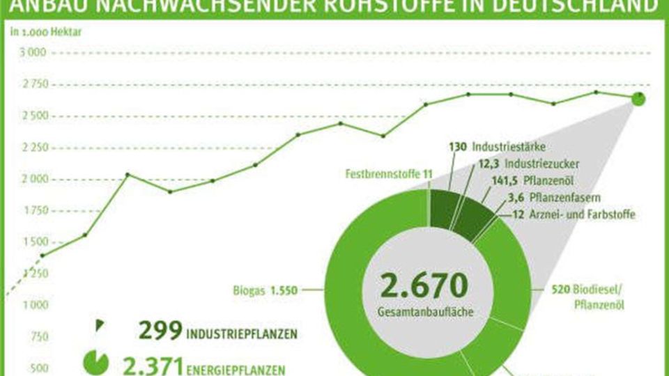 Anbaufläche