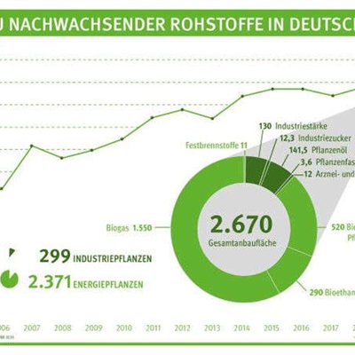 Anbaufläche