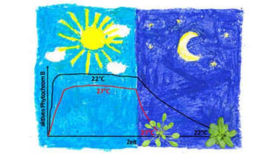 Licht und Temperatur