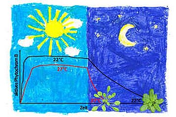 Licht und Temperatur