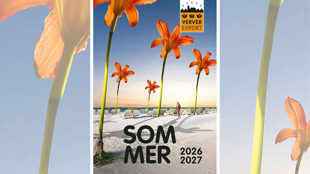 Verver Sommerkatalog