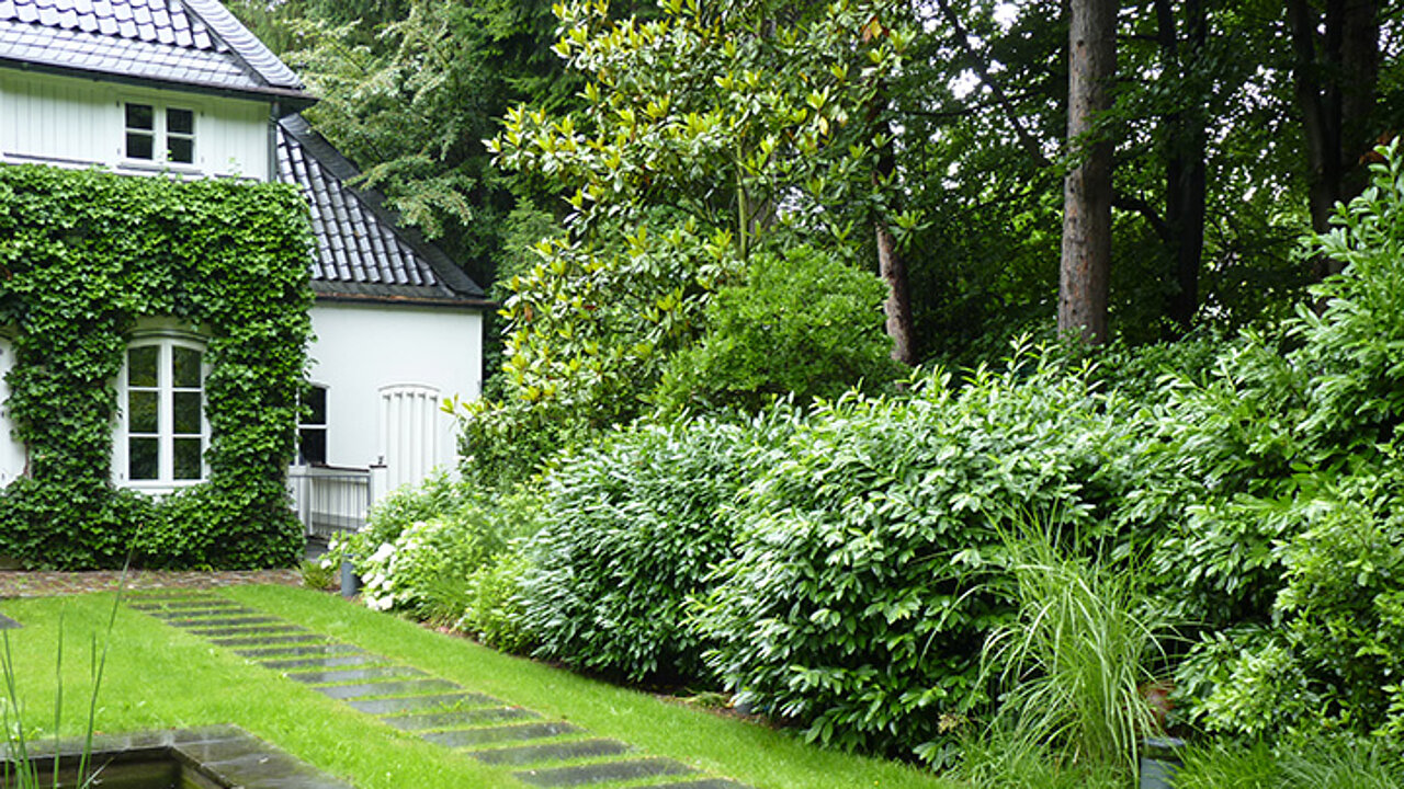 image-17029