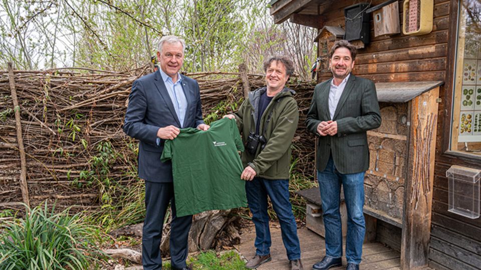 Gartenvögel NÖ
