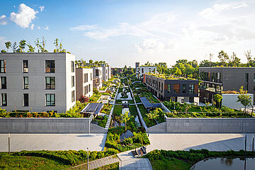 Schwammstadt