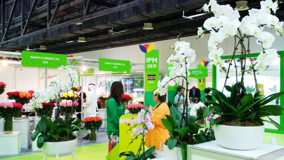 IPM DUBAI