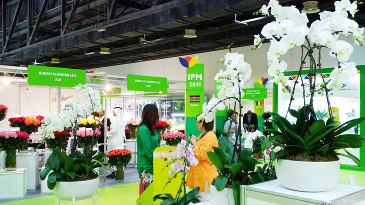 IPM DUBAI