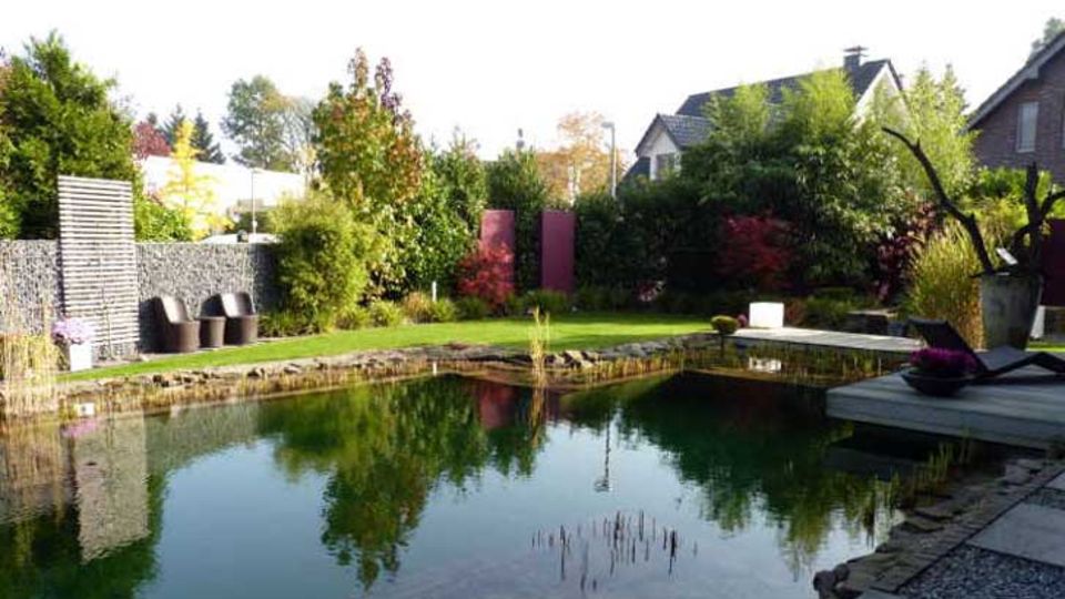 Schwimmteich