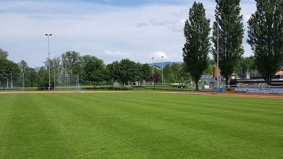 Fußballverein