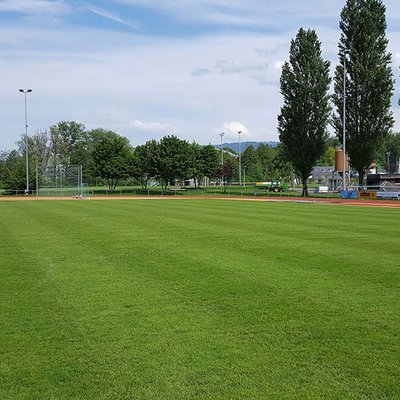 Fußballverein