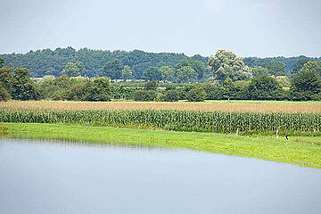 Image-13300