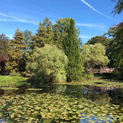 Japanischer Garten