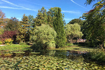 Japanischer Garten