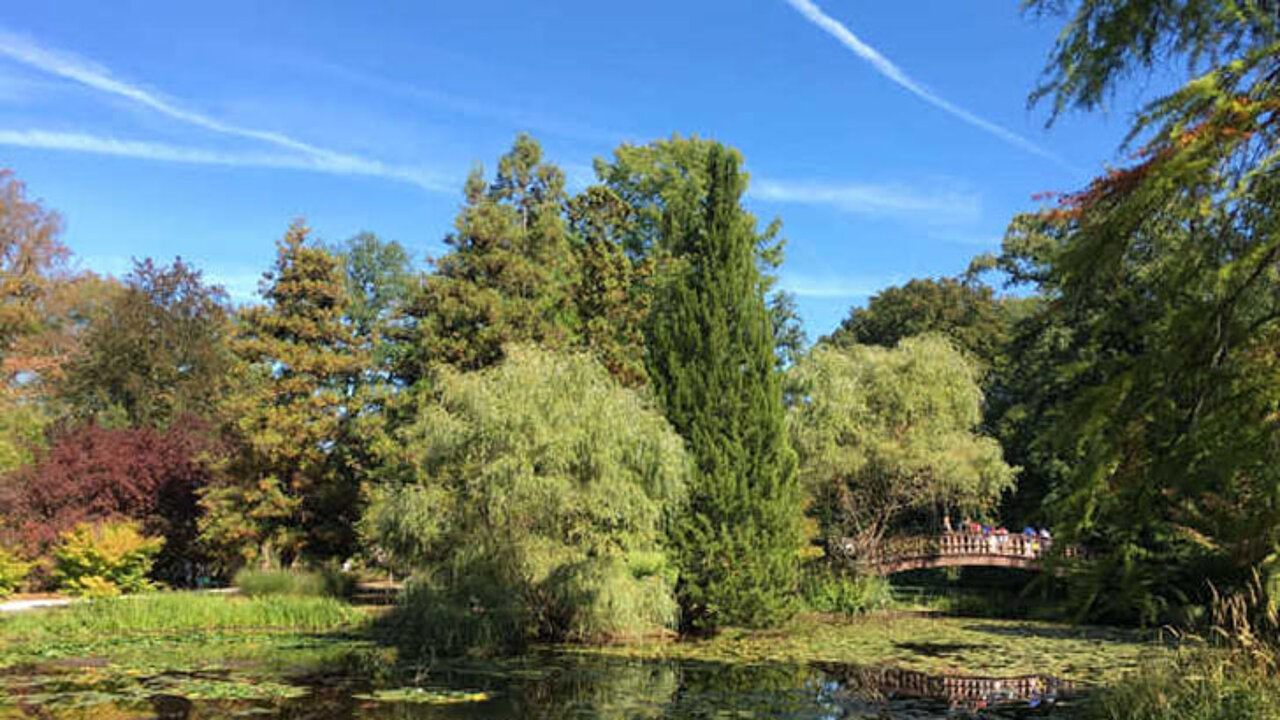 Japanischer Garten