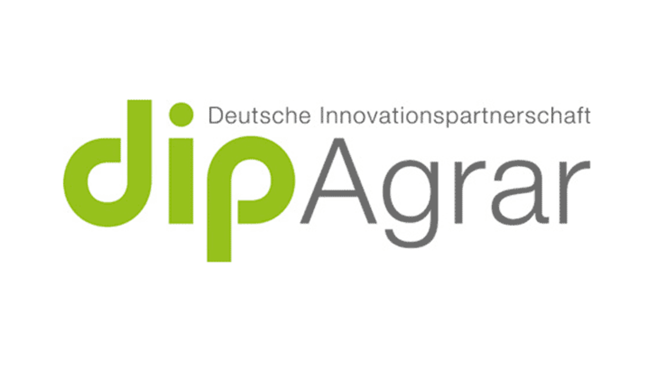DIP Logo