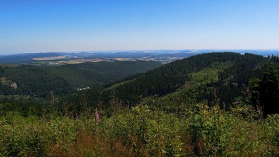Ilmenaus Wälder