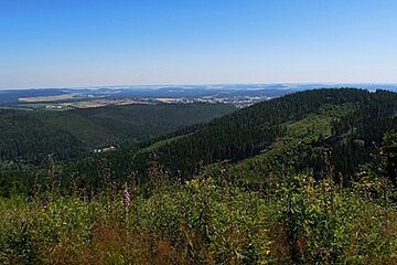 Ilmenaus Wälder