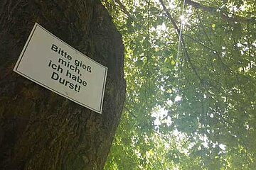 Bäume