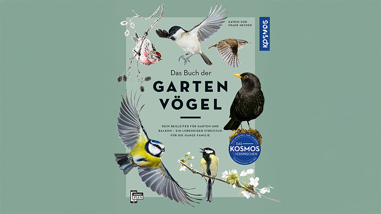 Buch der Gartenvögel