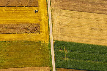 Image-13023