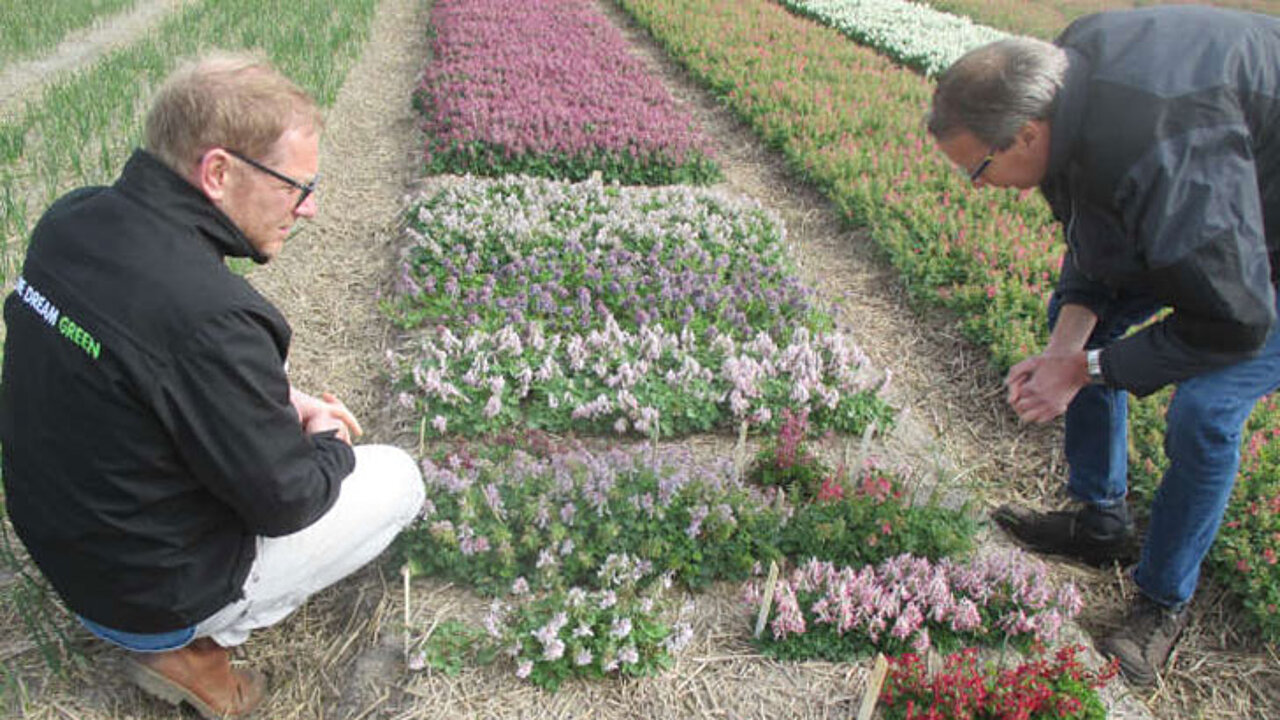 Probegarten
