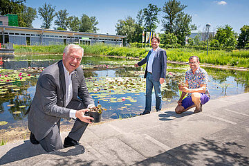 Image-13289