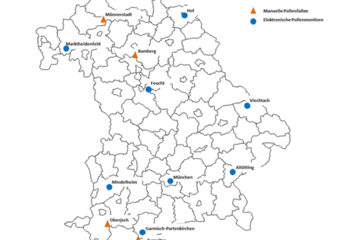 Schematische Übersicht