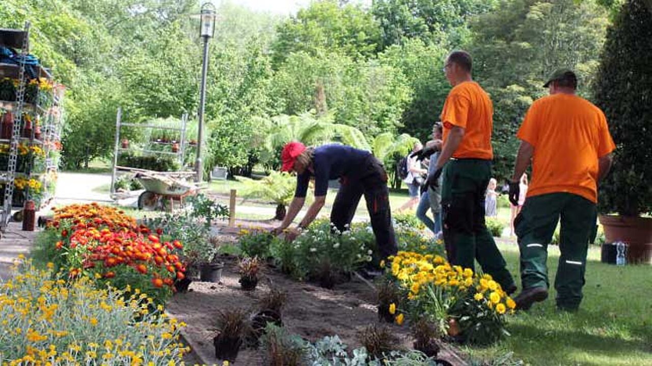 Sommerbepflanzung