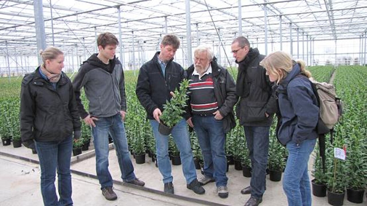 Auszubildende im Gartenbau