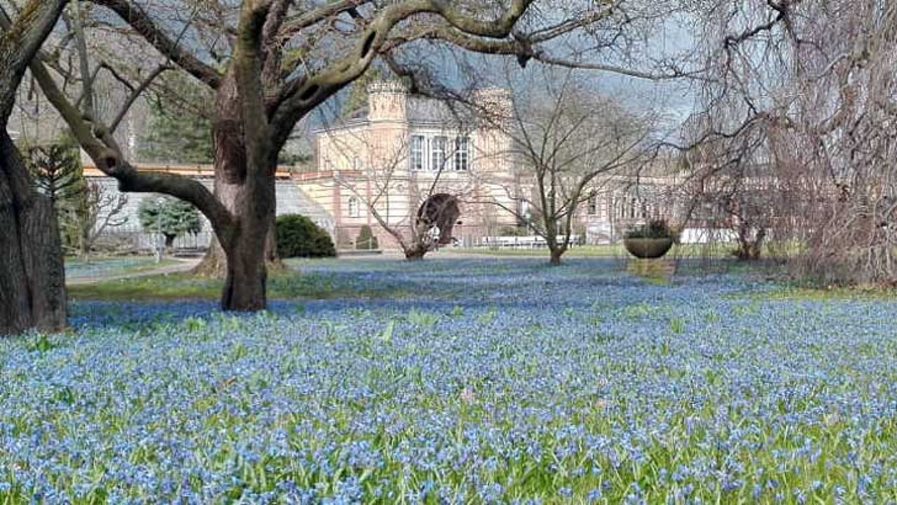 Botanischer Garten
