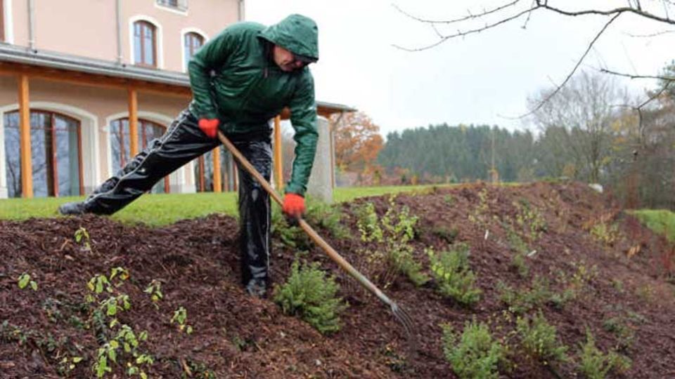 Pflegemulch