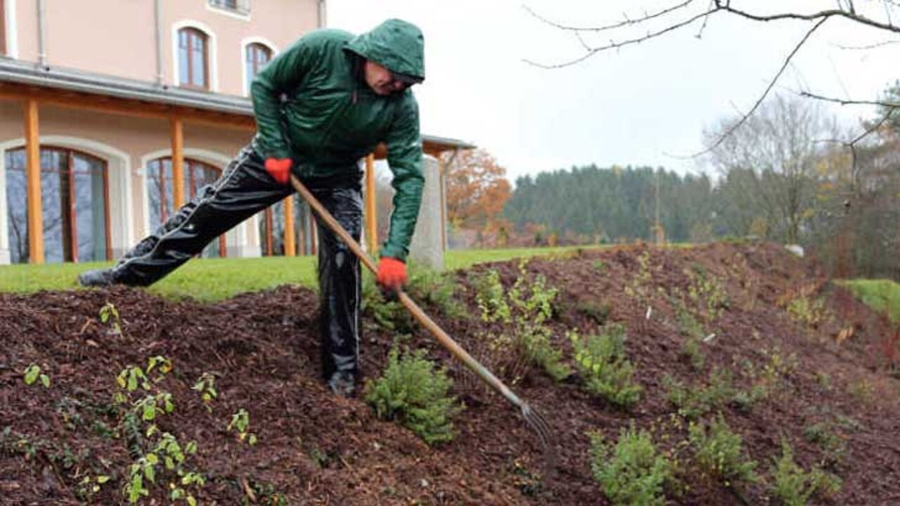 Pflegemulch