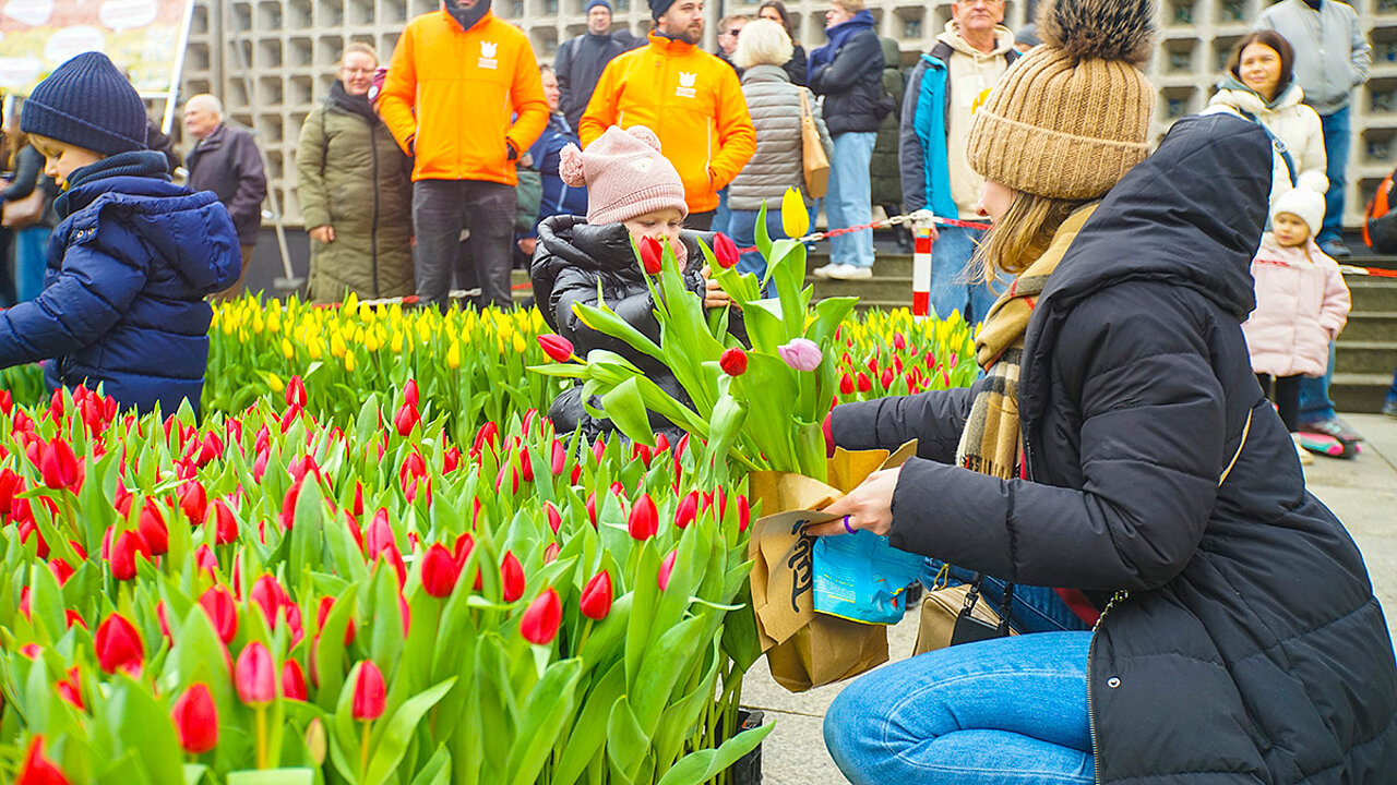 Tulpfenfest in Berlin