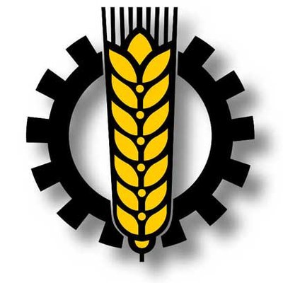 BLU Logo