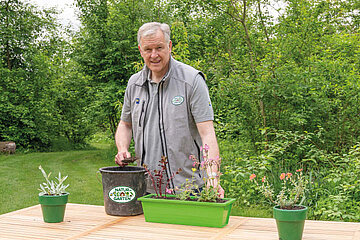 Martin Eichtinger