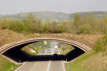 Grünbrücke B31