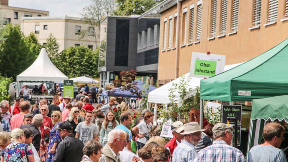 Grüner Campus