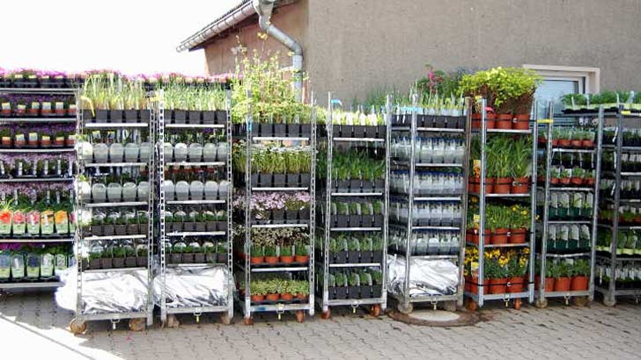 Gartenstauden