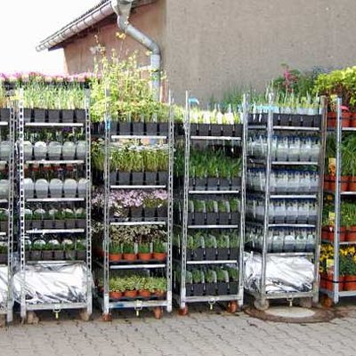 Gartenstauden