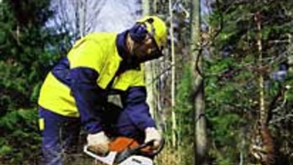 Stihl MS280