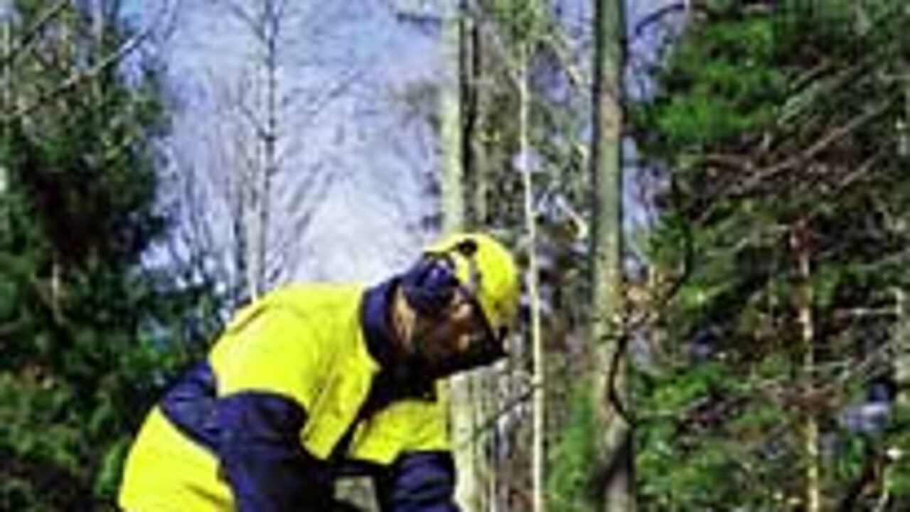 Stihl MS280