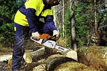 Stihl MS280