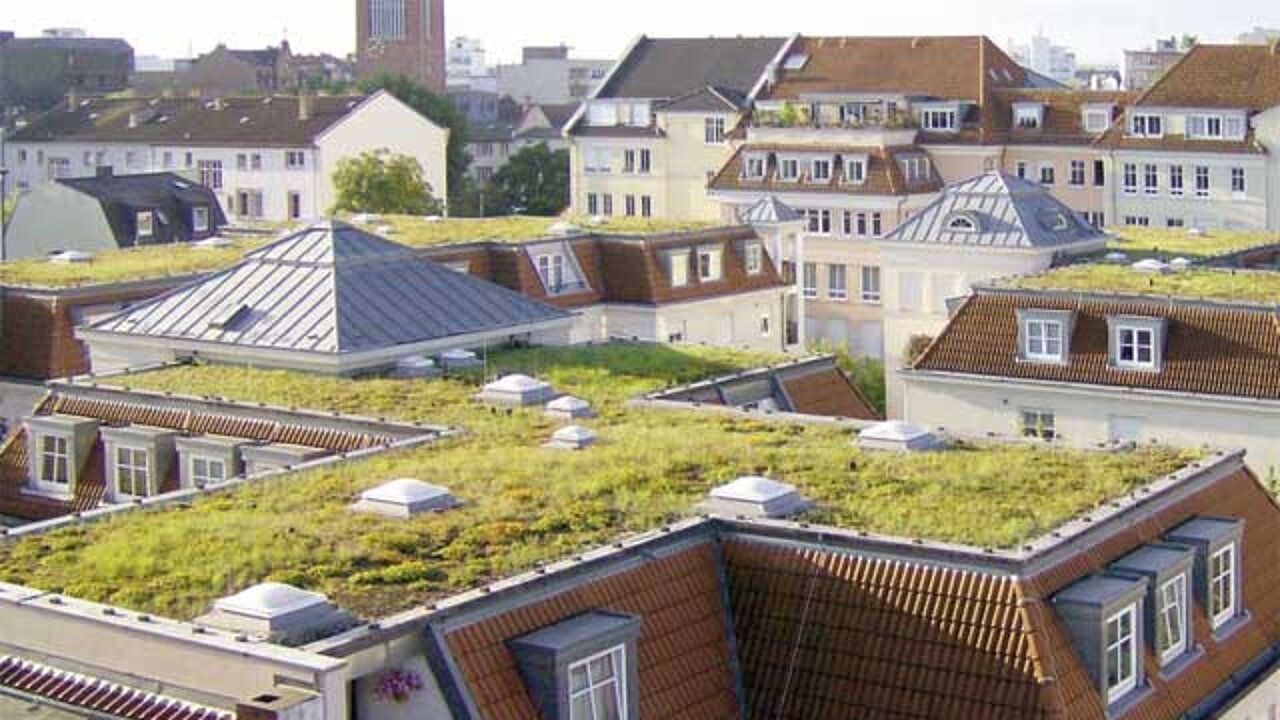 Wissenswertes zum Gründach