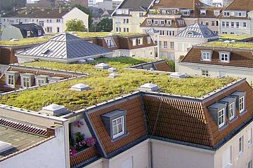 Wissenswertes zum Gründach