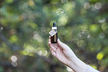 CBD Cannabis