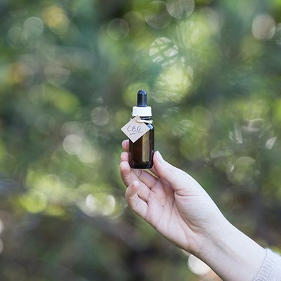 CBD Cannabis