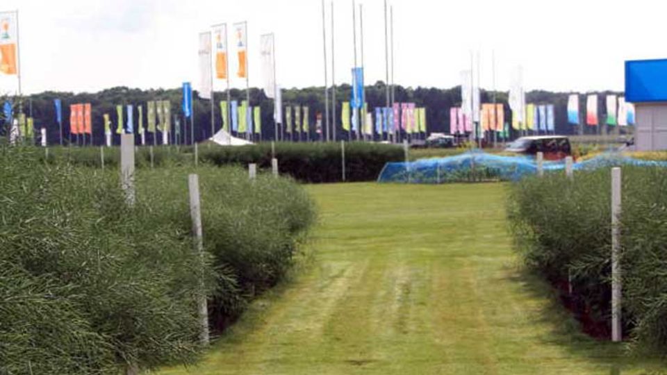 DLG-Feldtage