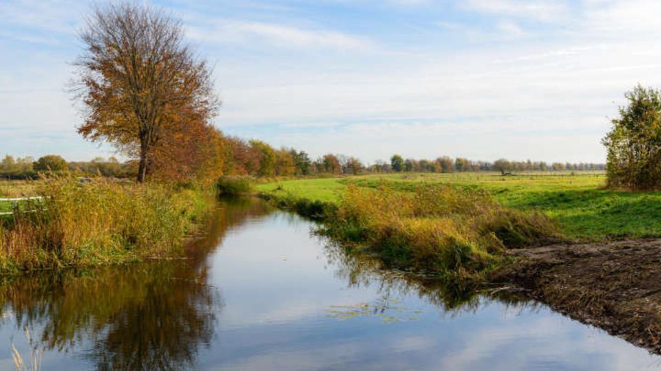 Flussgebiet