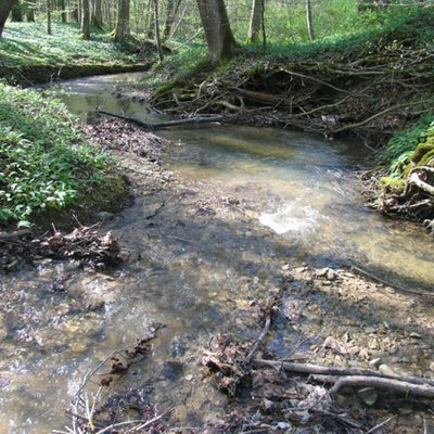 Mittelgebirgsbach